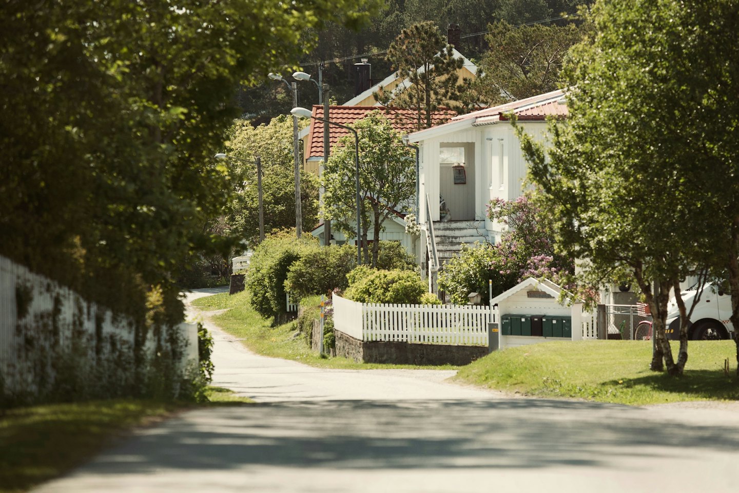 A quiet suburban street lined with houses and trees.